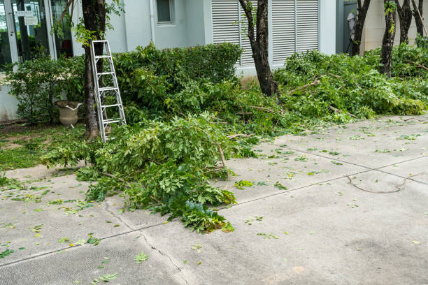 Best Lawn Mowing  in Eastvale, CA